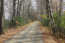 Buffalo River State Trail