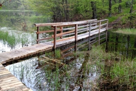Boardwalk at the Chippewa Moraine