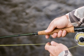 Fishing Rod